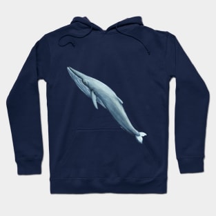 whale - watercolour painting Hoodie